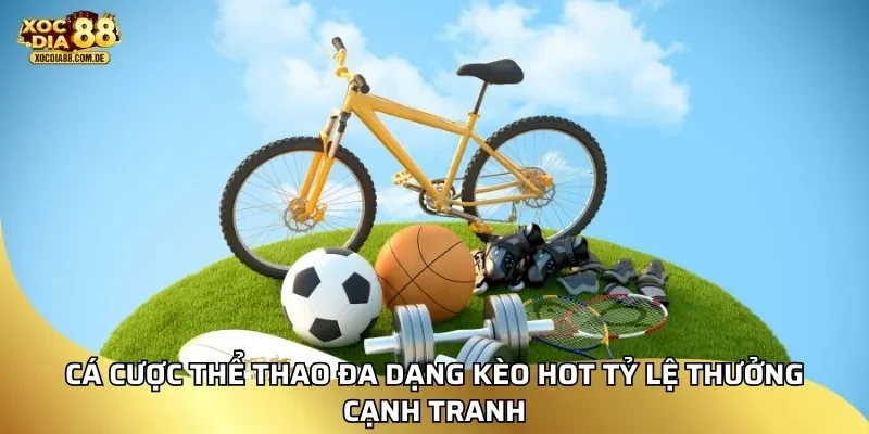 Cá cược thể thao đa dạng kèo hot tỷ lệ thưởng cạnh tranh