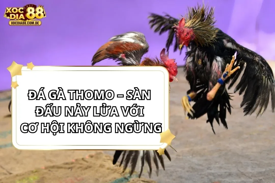 Đá Gà Thomo