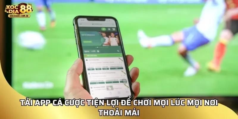 Tải app cá cược tiện lợi để chơi mọi lúc mọi nơi thoải mái